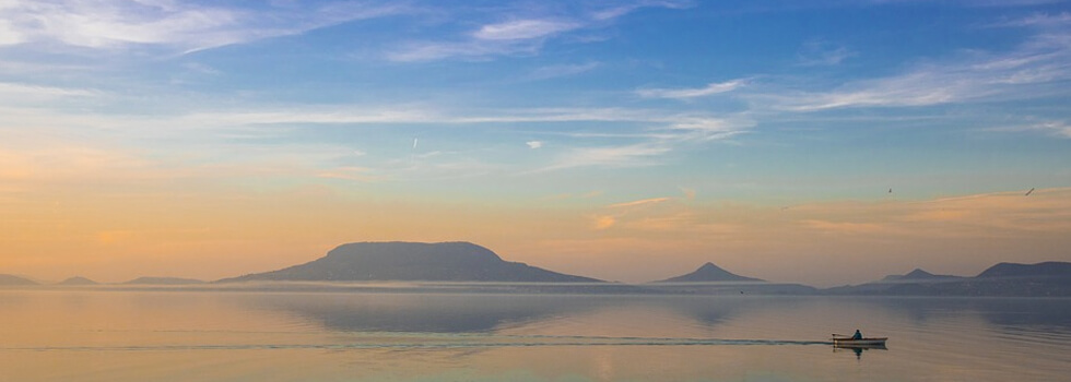 Header Graphic