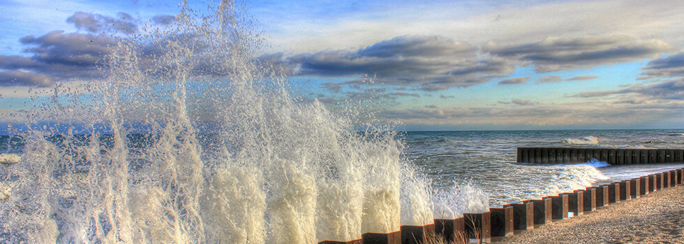 Header Graphic