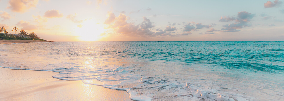 Header Graphic