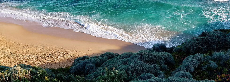 Header Graphic